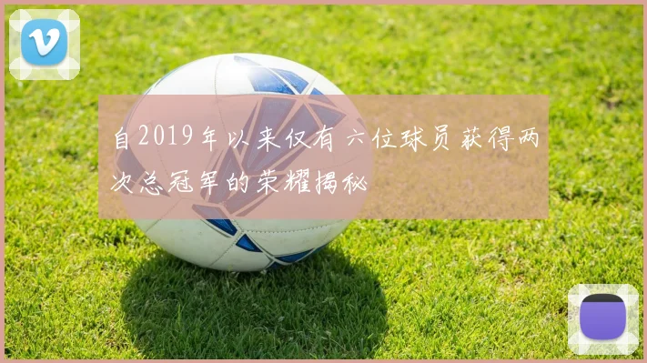 自2019年以来仅有六位球员获得两次总冠军的荣耀揭秘